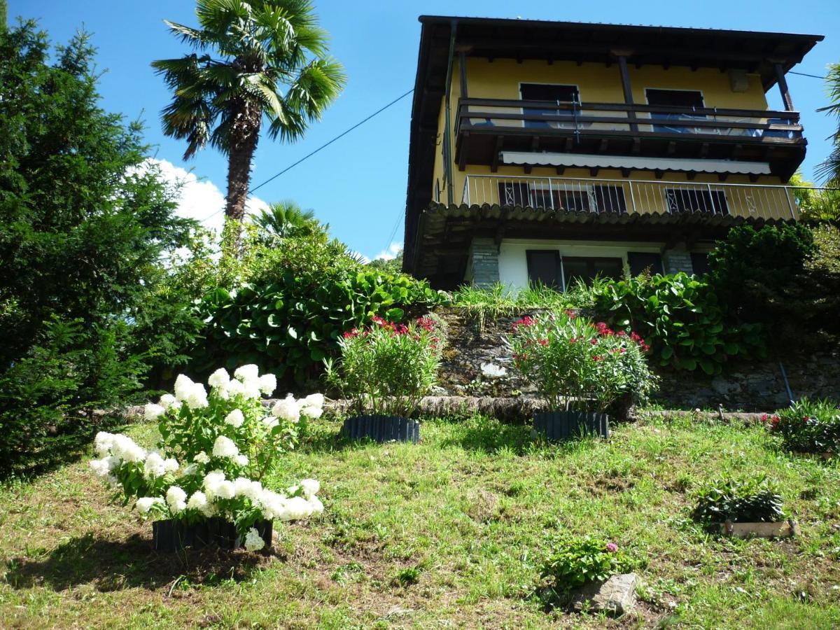 Casa Petra Apartman Gambarogno Kültér fotó