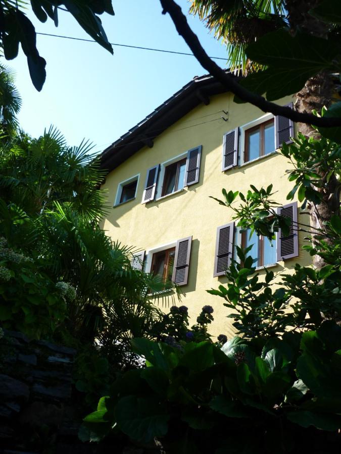 Casa Petra Apartman Gambarogno Kültér fotó
