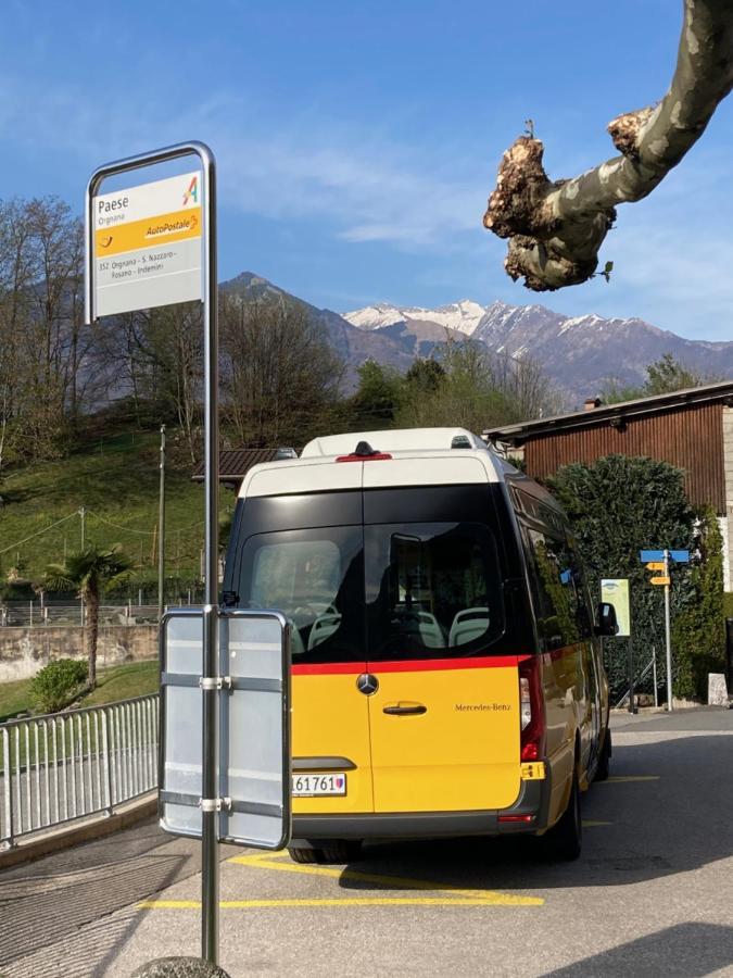 Casa Petra Apartman Gambarogno Kültér fotó